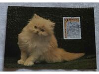 PERSIAN CAT CARD MAXIMUM 1990/