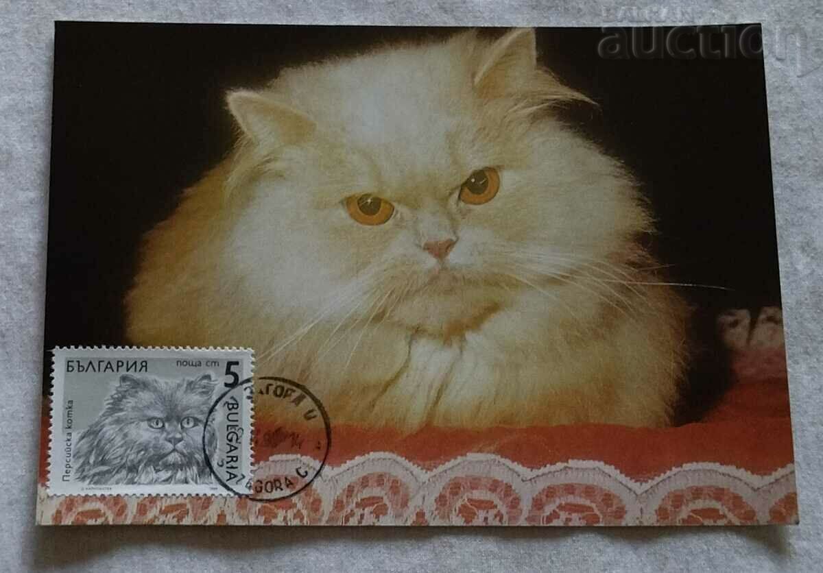 PERSIAN CAT CARD MAXIMUM 1990