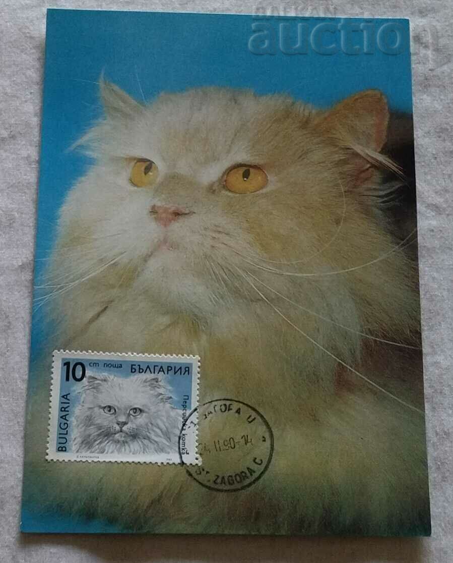 PERSIAN CAT CARD MAXIMUM 1990