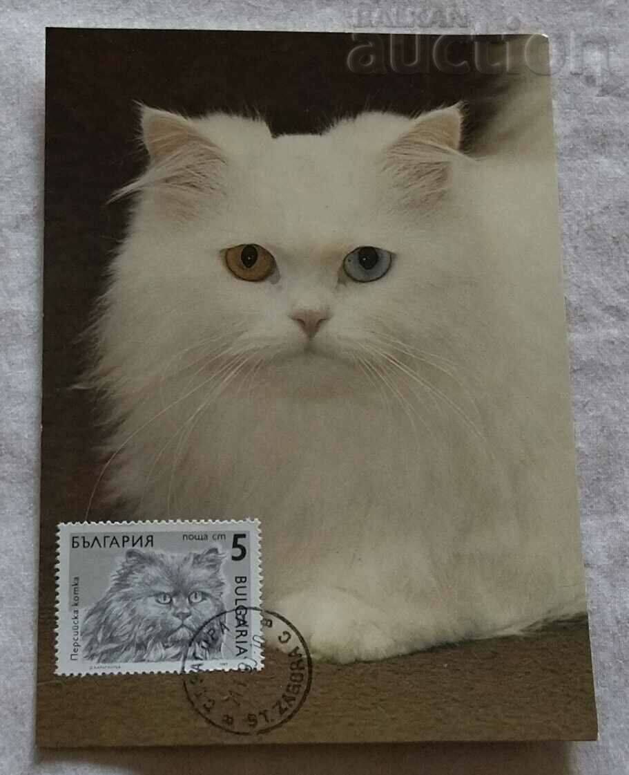 PERSIAN CAT DIFFERENT EYES CARD MAXIMUM 1990