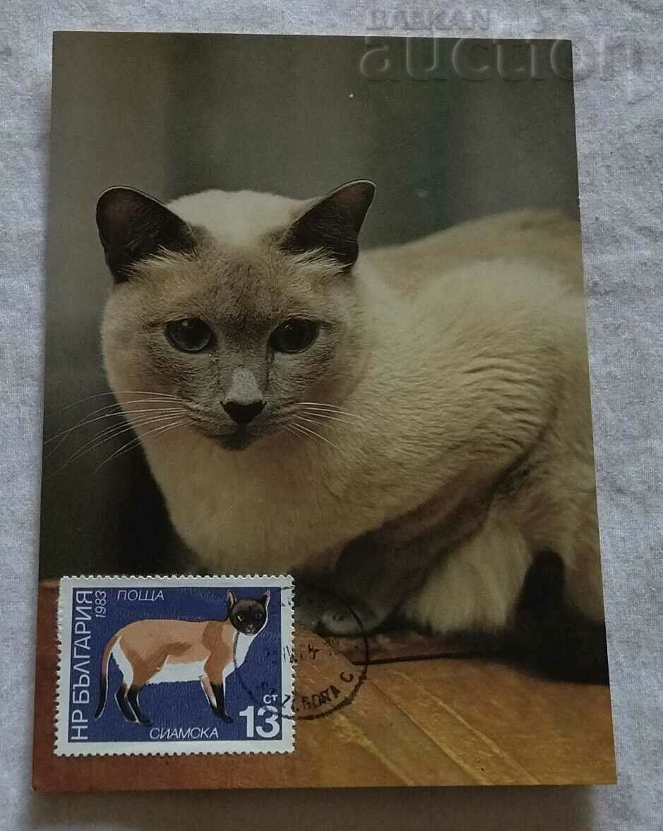 SIAMESE CAT CARD MAXIMUM 1988