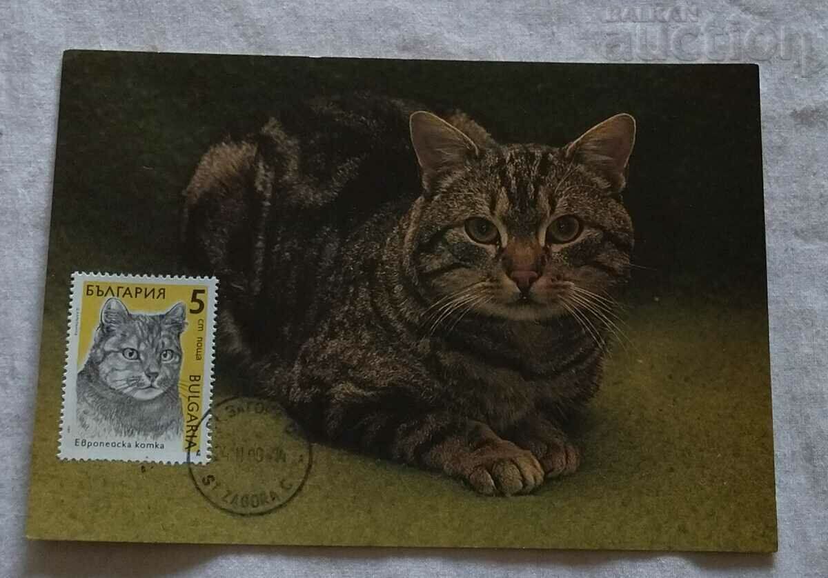CARD EUROPEAN CAT MAXIM 1990