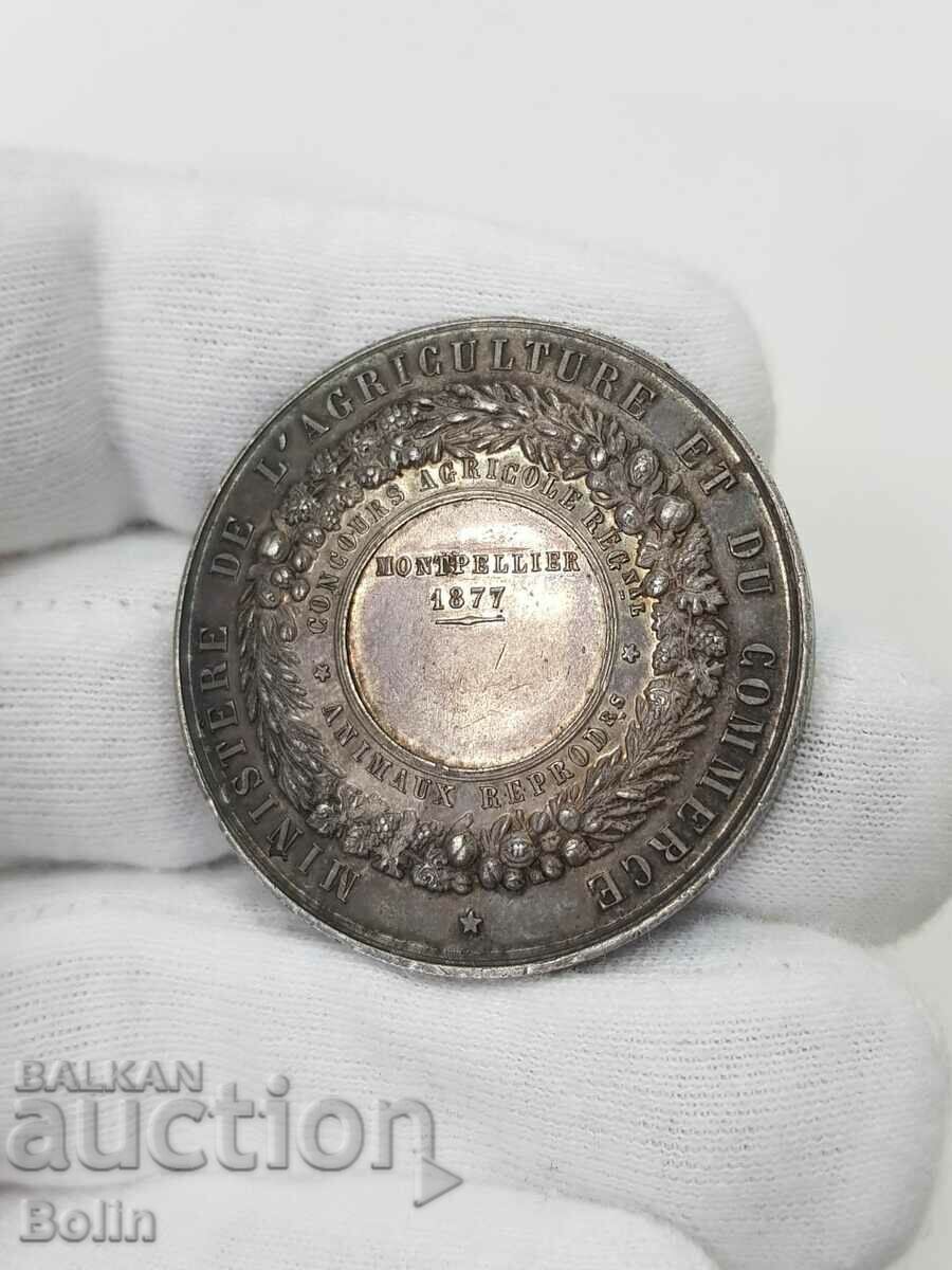 A beautiful 1877 French silver table medal. - 5 A beautiful 1877 French silver table medal. - 5