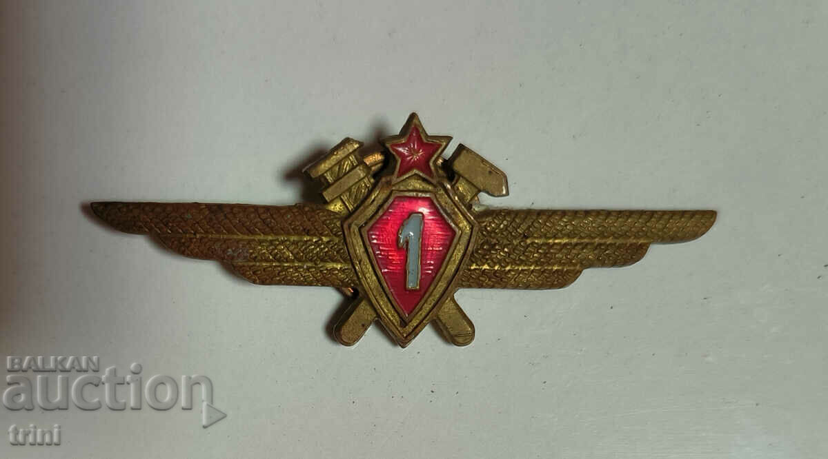 Pilot Badge 1st Class, Rare