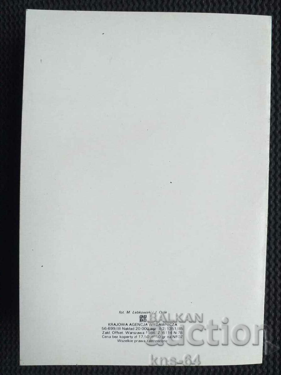 Auction  Social propaganda