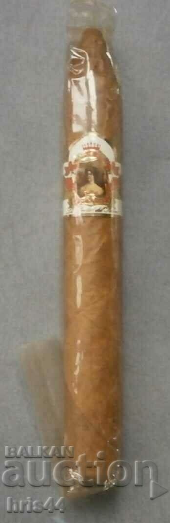 A cigar