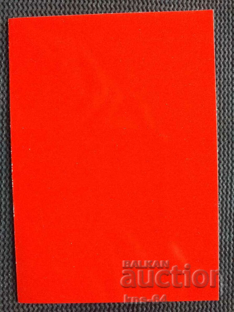 Auction  Social propaganda BKP