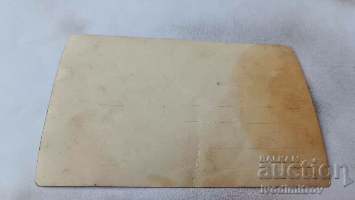 Photo Youth on the meadow with price 1.85 BGN | € 0.95 Photo Youth on the meadow with price 1.85 BGN | € 0.95