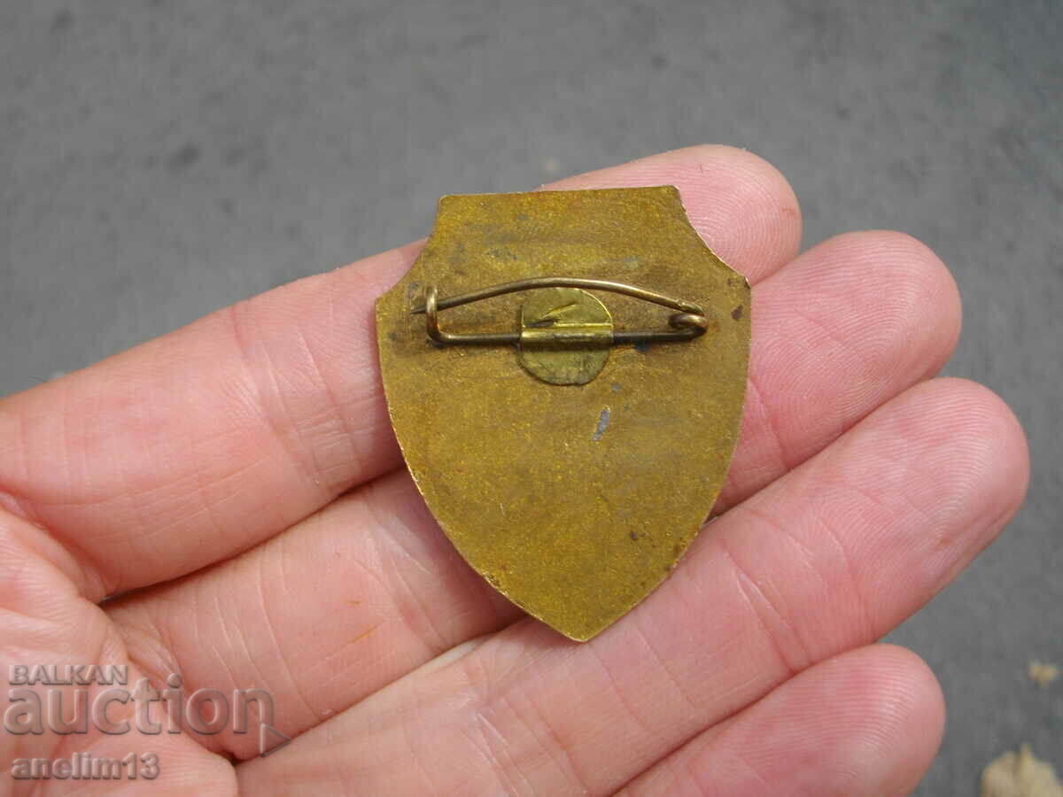 Delivery of BADGE BRONZE ENAMEL BRONZE Delivery of BADGE BRONZE ENAMEL BRONZE