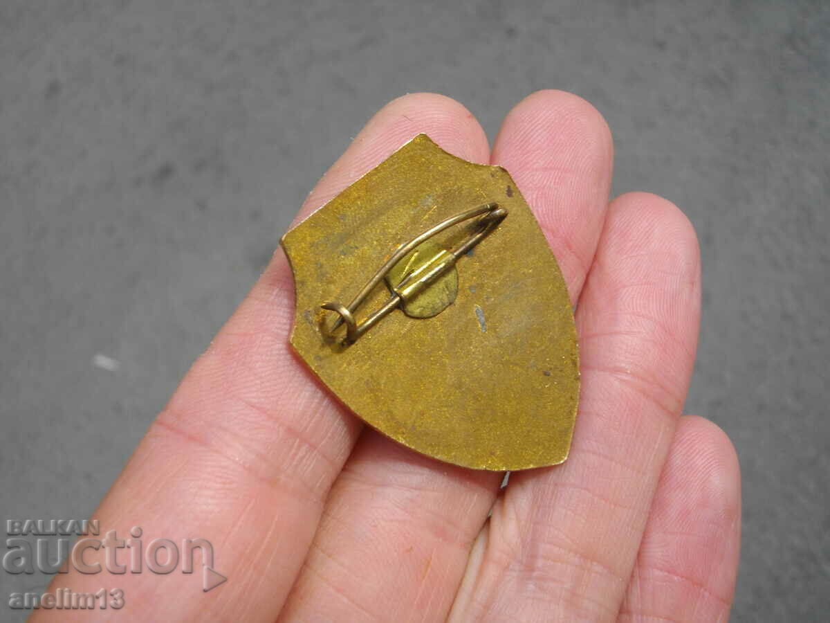 BADGE BRONZE ENAMEL BRONZE - 5 BADGE BRONZE ENAMEL BRONZE - 5