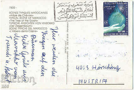 Maroc - etnografie - capre - 2001 cu preț 0.60 BGN | € 0.31