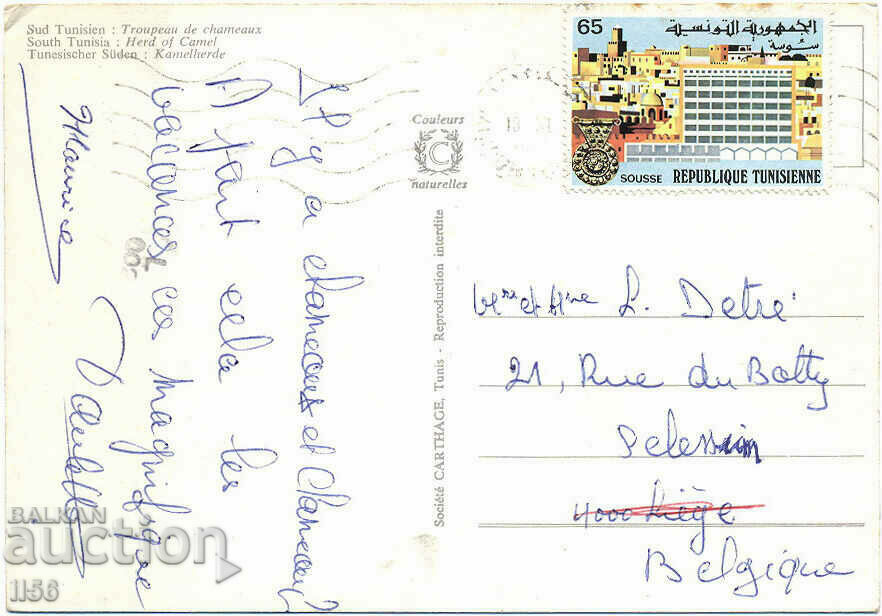 Tunisia - animals - herd of camels - ca. 1980 with price 0.60 BGN | € 0.31