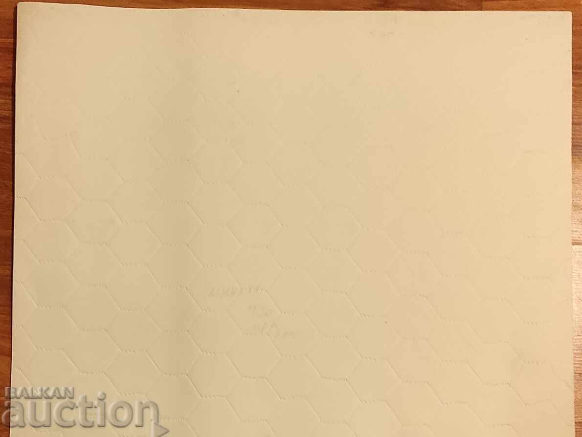 Auction "Network XII "Milko Pavlov? Auction "Network XII "Milko Pavlov?