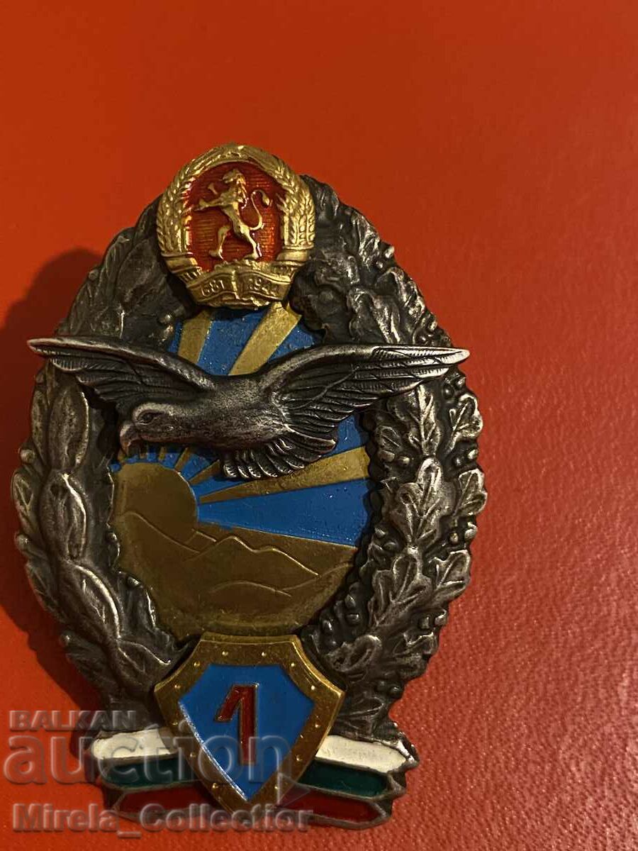 Pilot Badge Pilot Airman 1st Class 1980