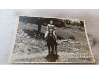 Fotografie Tryavna Fată tânără pe un cal negru 1944