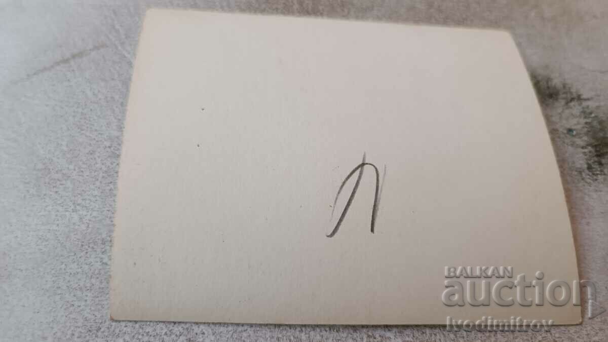 Photo Roller coaster with price 0.75 BGN | € 0.38