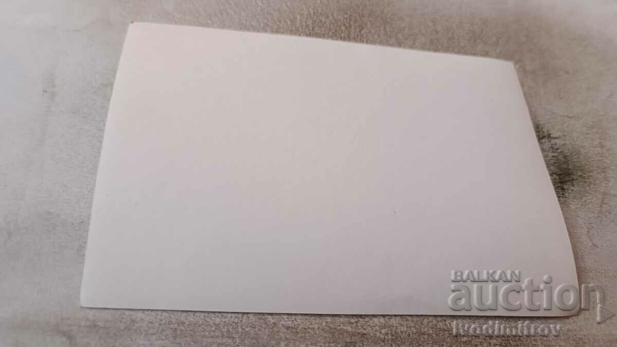 Φωτογραφία Δύο γυναίκες στην παραλία με τιμή 0.75 BGN | € 0.38 Φωτογραφία Δύο γυναίκες στην παραλία με τιμή 0.75 BGN | € 0.38