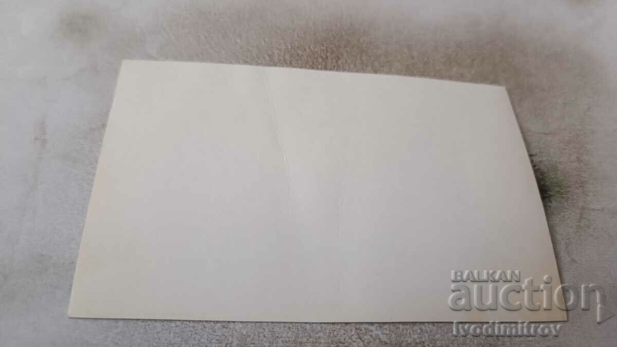 Photo Officers soldiers on the meadow with price 0.85 BGN | € 0.43 Photo Officers soldiers on the meadow with price 0.85 BGN | € 0.43