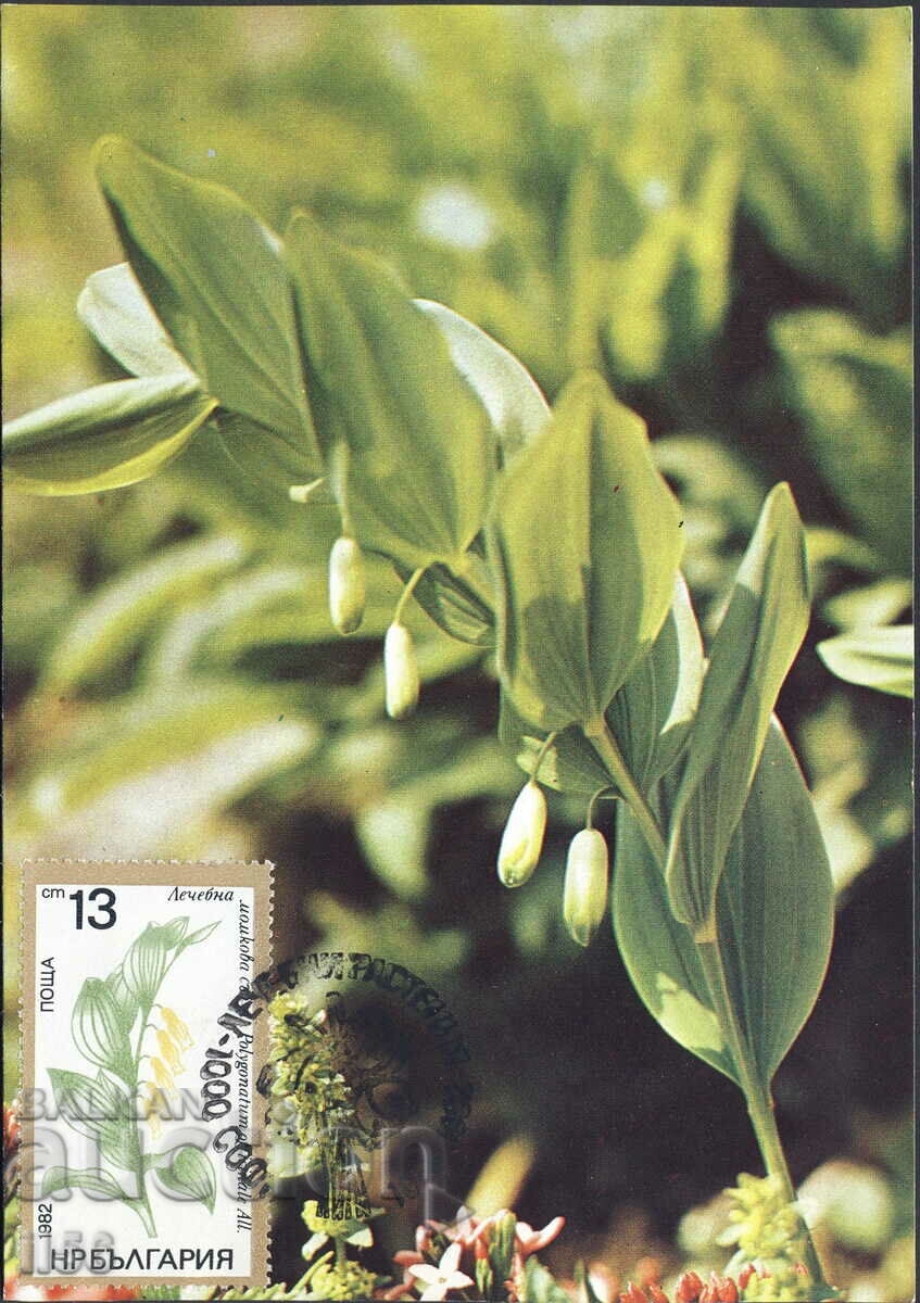 Bulgaria - harta maxim 1982 - flori - lacrima de baiat