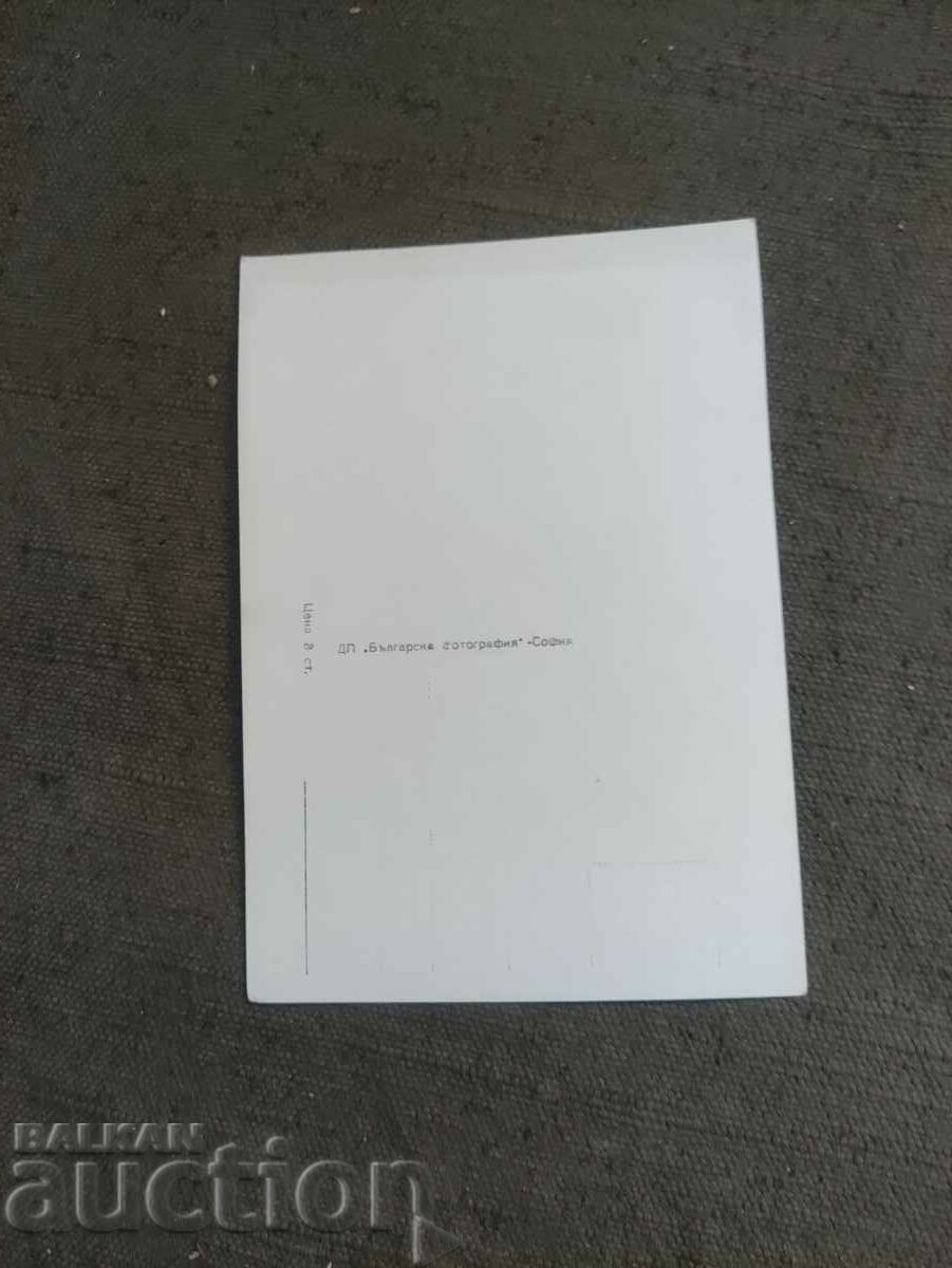 Nevena Kokanova with price 20.00 BGN | € 10.23 Nevena Kokanova with price 20.00 BGN | € 10.23