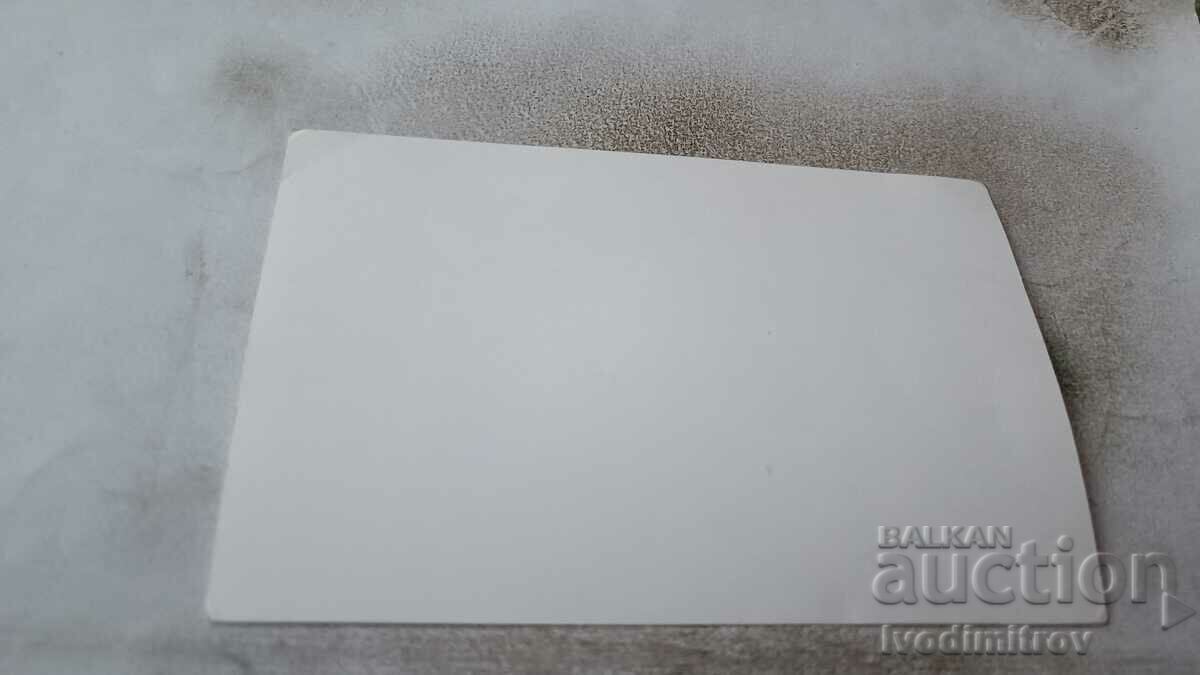 Photo Bride with price 0.85 BGN | € 0.43 Photo Bride with price 0.85 BGN | € 0.43