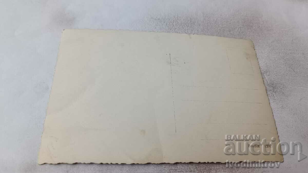 Photo Men women and children on a picnic on the lawn with price 1.45 BGN | € 0.74