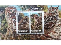 Gibraltar-Owls