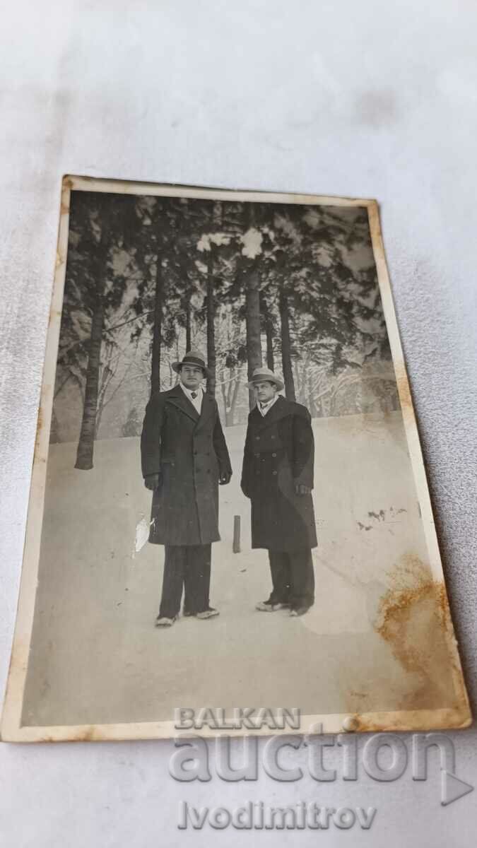 Снимка София Двама мъже в борова гора през зимата 1934