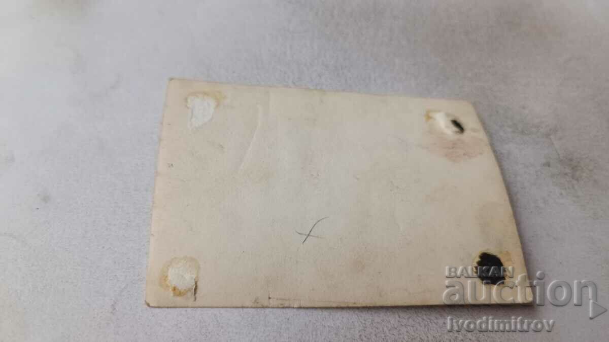 Photo A little boy and a little girl sitting on a tree with price 1.15 BGN | € 0.59 Photo A little boy and a little girl sitting on a tree with price 1.15 BGN | € 0.59