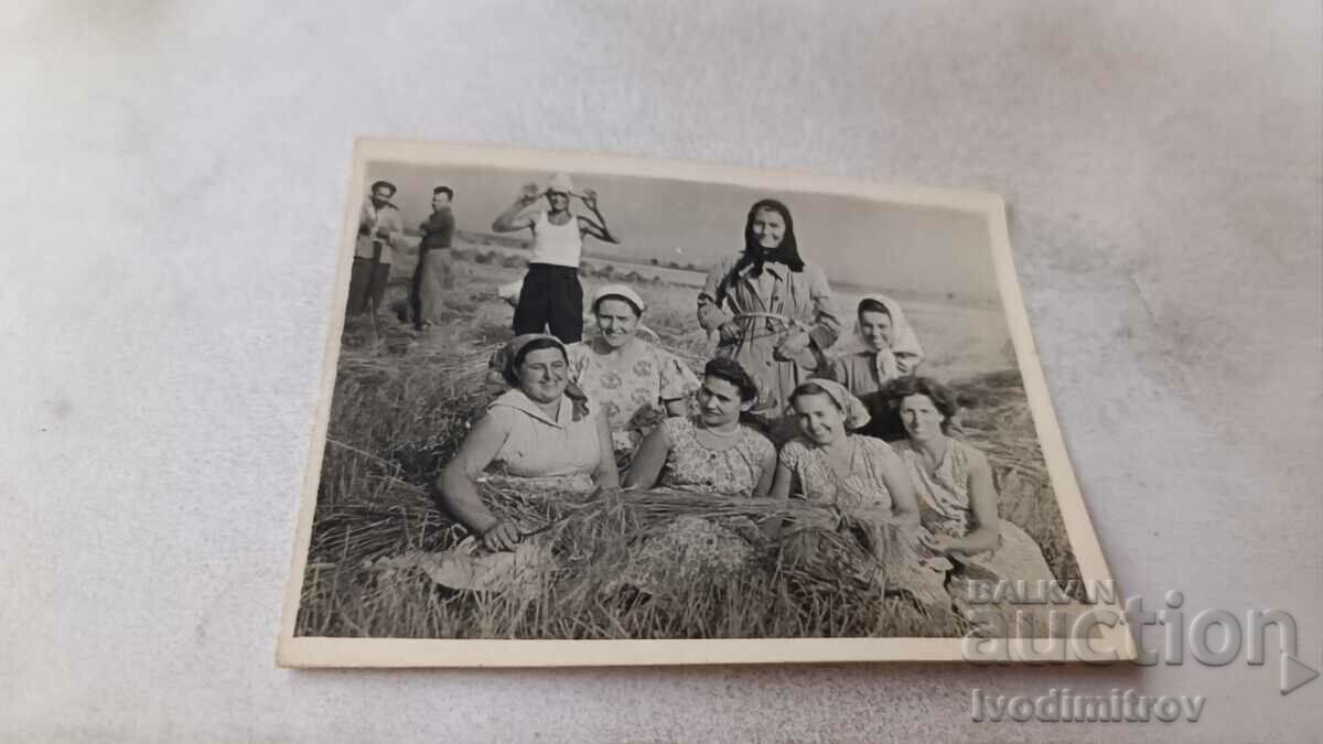 Photo Men and women in a wheat field