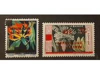 Guinea 1959 First Series/Flora MNH
