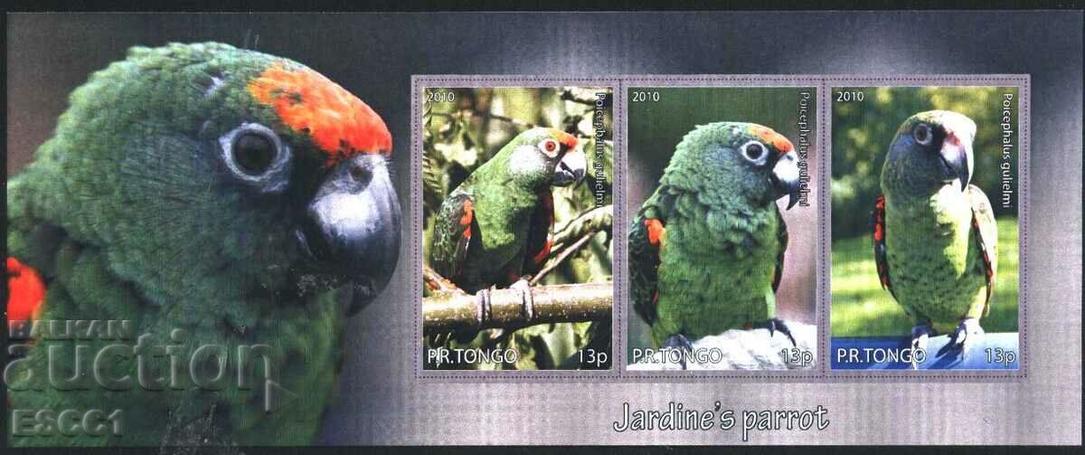 Clean block Parrots 2010 from Tongo