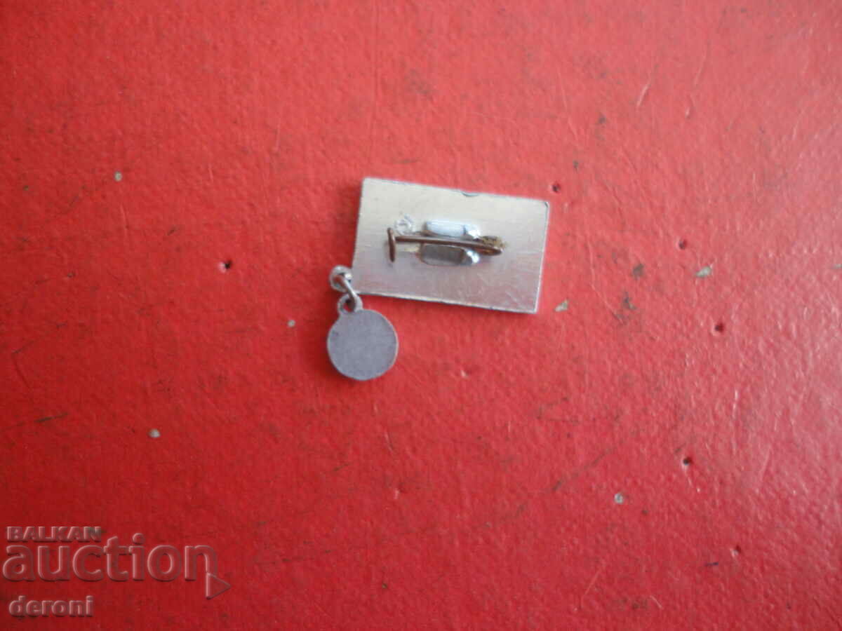 Delivery of Russian sign badge Hockey Delivery of Russian sign badge Hockey