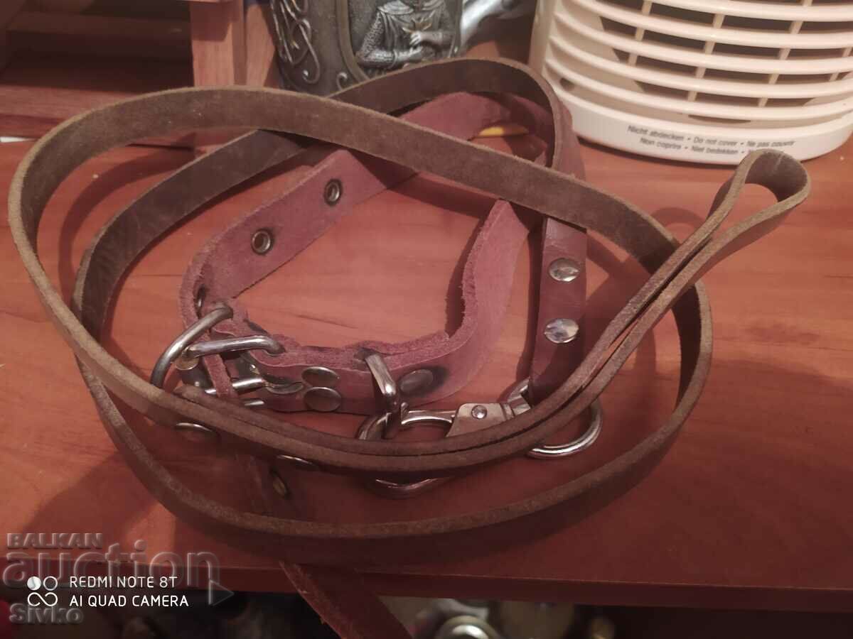 Licitație Lesă de câine și plumb