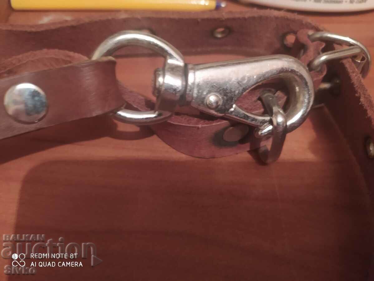 Livrarea Lesă de câine și plumb