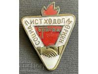 35551 Mongolia Socialist Labor Brigade badge enamel