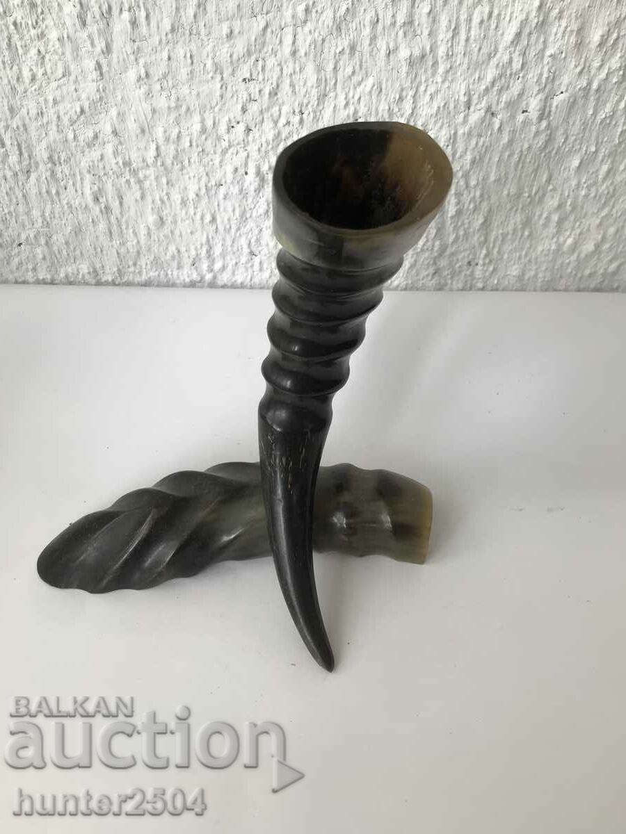 Souvenir Horn