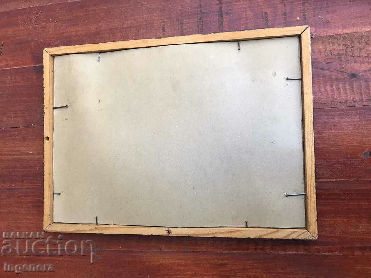 HERBARIUM DECOR CADRU LEMN STICLA ART - 5