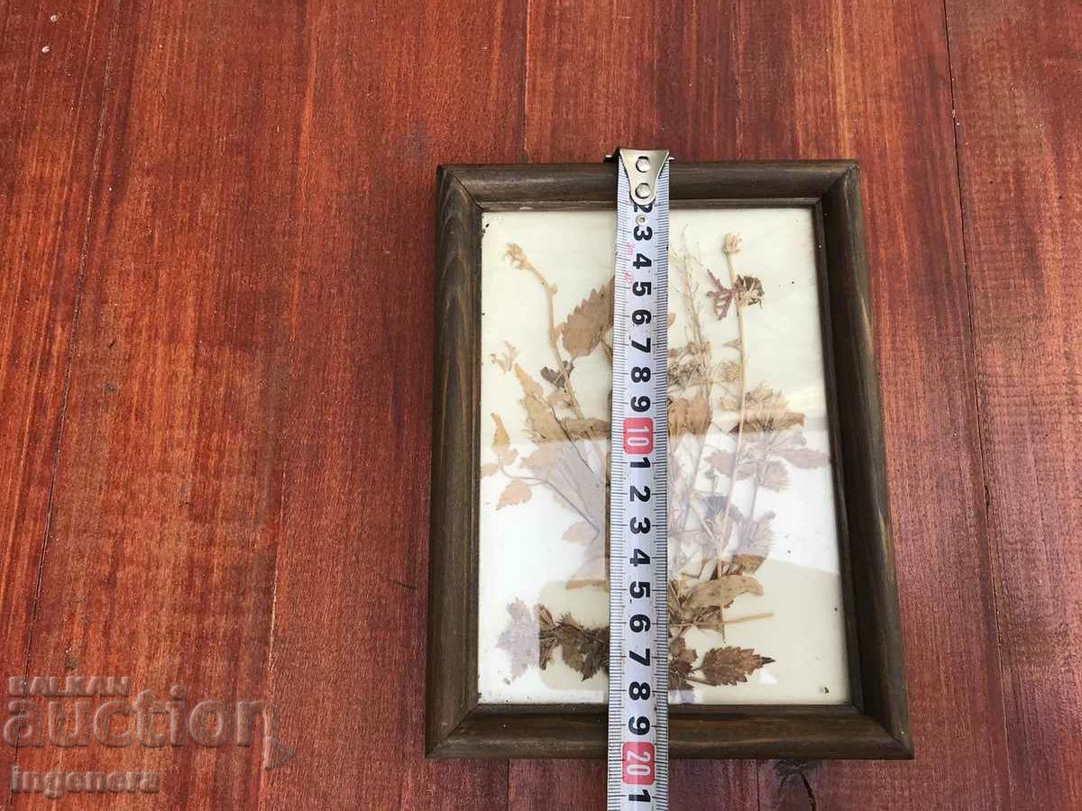 Delivery of HERBARIUM DECORATION FRAME WOOD GLASS ART Delivery of HERBARIUM DECORATION FRAME WOOD GLASS ART