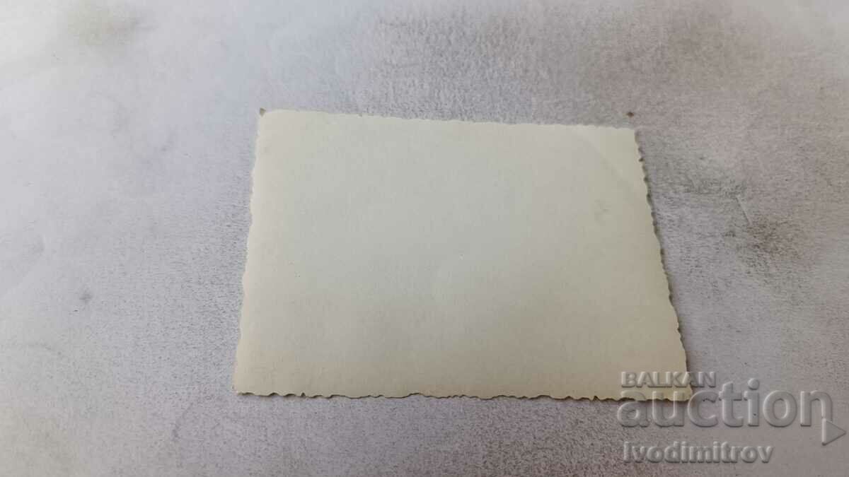 Photo Four small children on an alley in the park with price 2.65 BGN | € 1.35