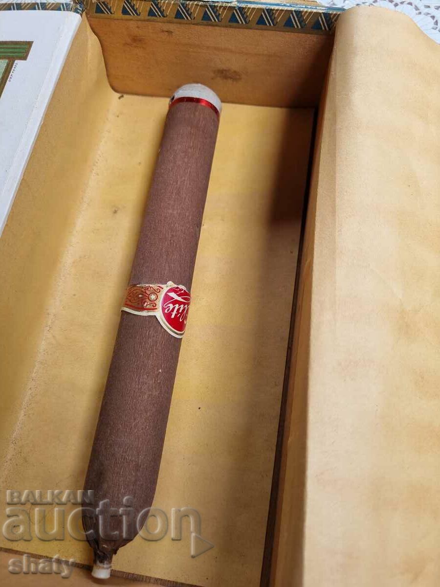 Old rare wooden cigar box - 7