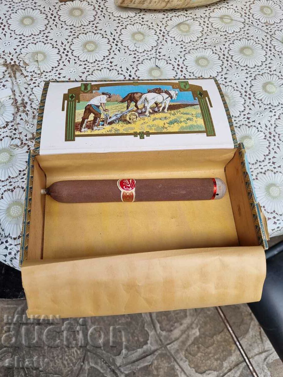 Old rare wooden cigar box