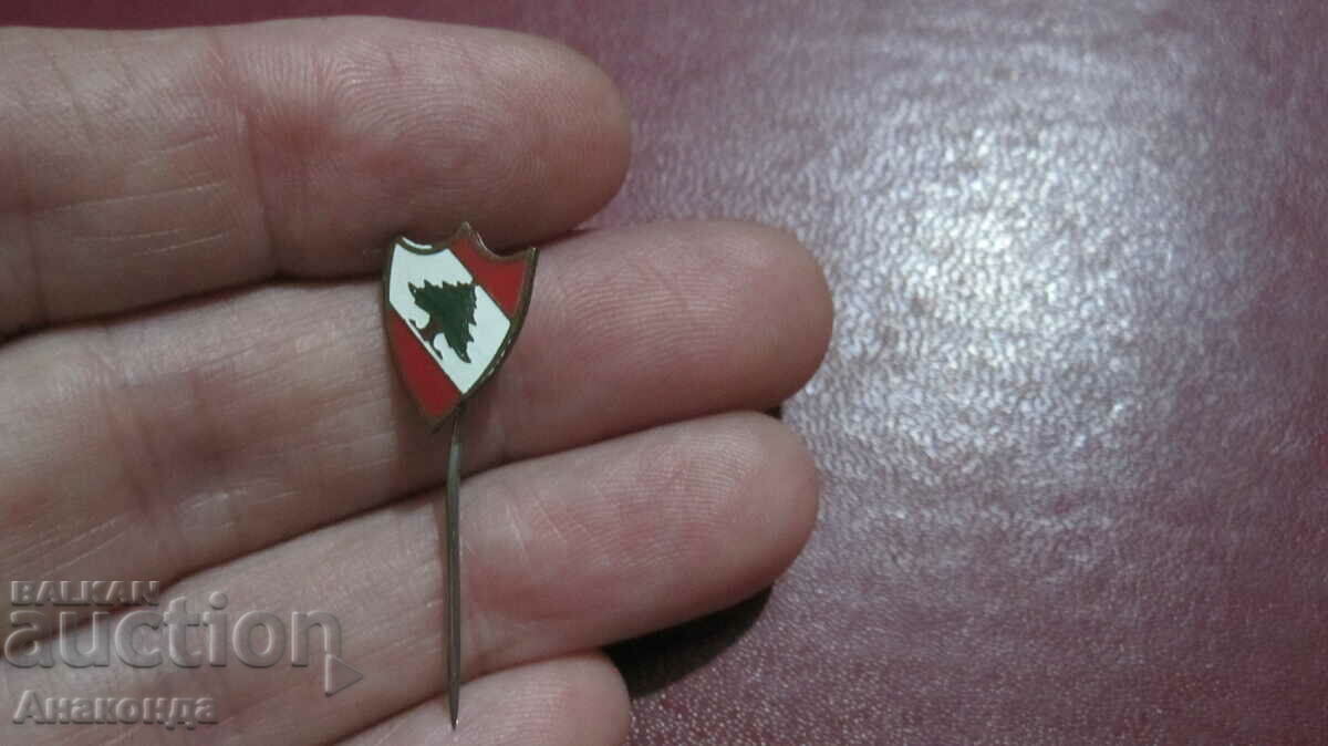 Badge - national flag of LEBANON
