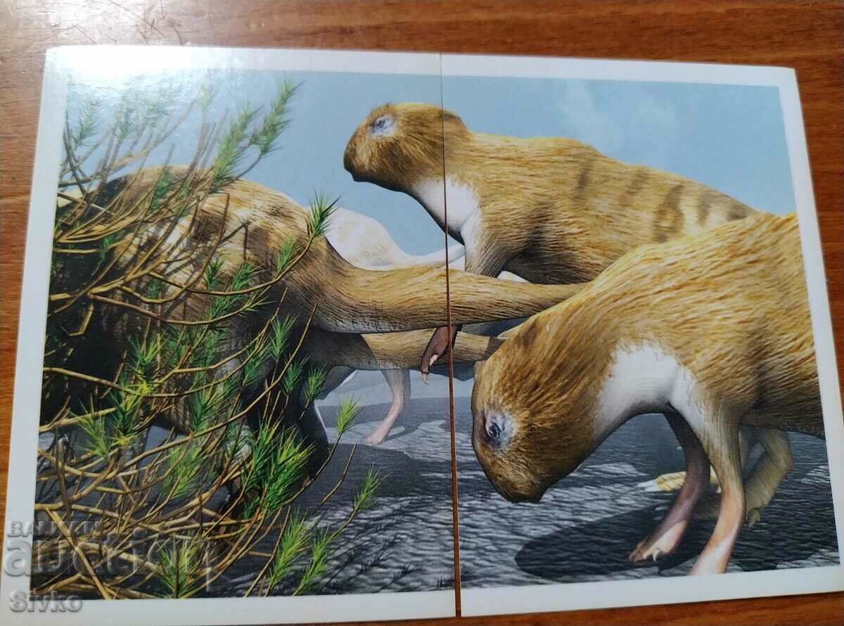 Prehistoric animals sticker