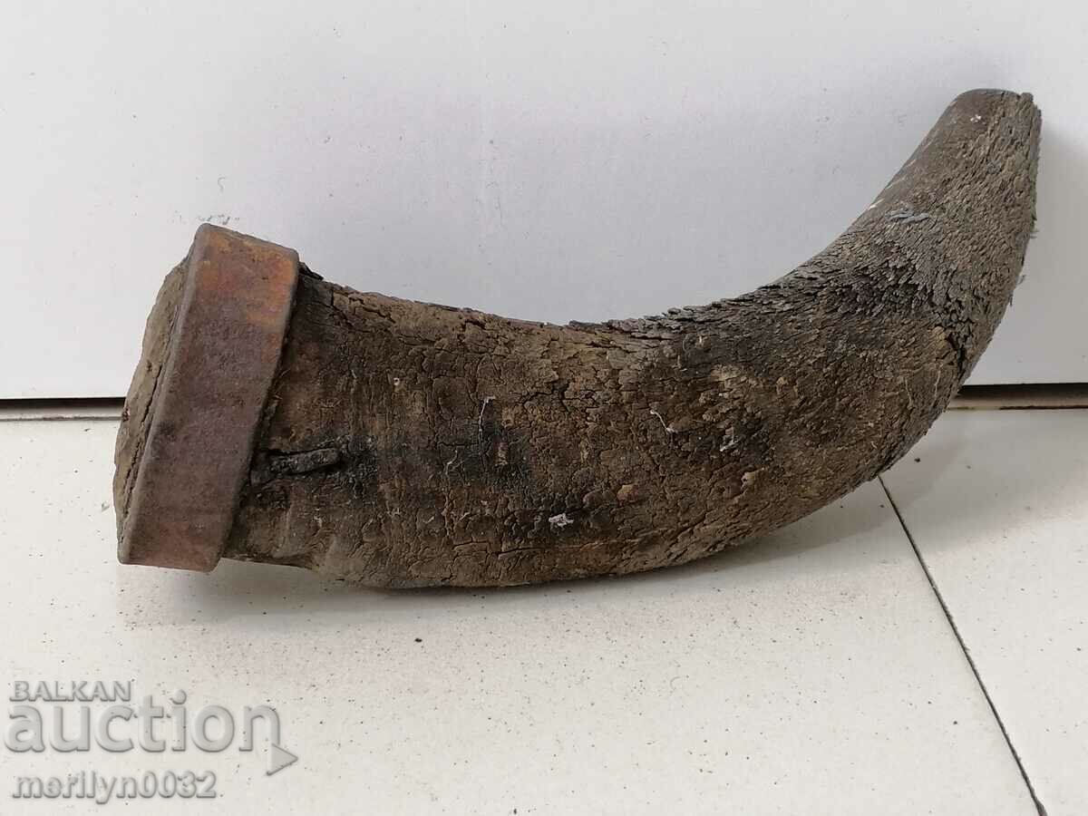 Bison horn with price 64.00 BGN | € 32.72