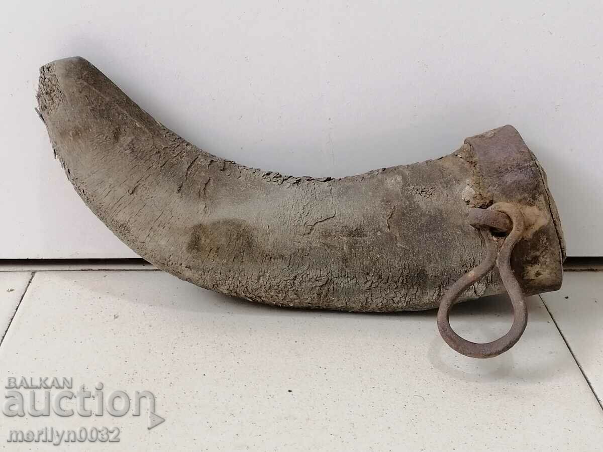 Auction  Bison horn