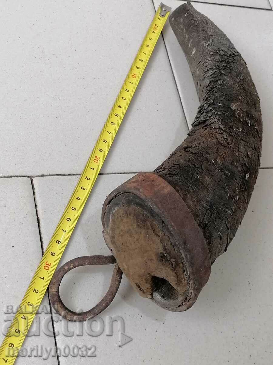 Delivery of Bison horn