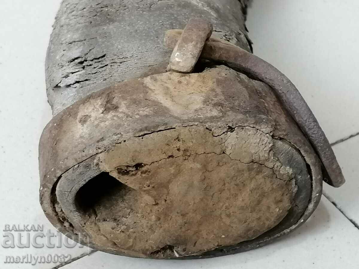 Bison horn - 5