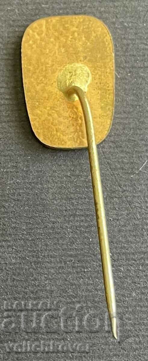 Δημοπρασία 35579 Τσεχοσλοβακία 25 ετών. Πετοσφαίριση Valtsite Δημοπρασία 35579 Τσεχοσλοβακία 25 ετών. Πετοσφαίριση Valtsite