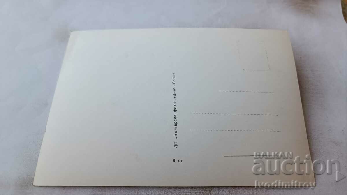 Danny Carrel postcard with price 0.85 BGN | € 0.43 Danny Carrel postcard with price 0.85 BGN | € 0.43